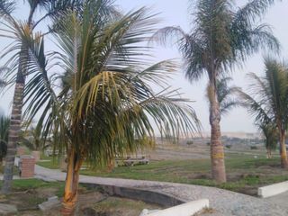 Foto 21 de Terreno en Ventan en Huacho - Huaura