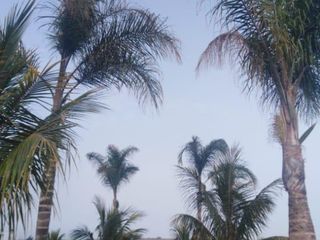 Foto 15 de Terreno en Ventan en Huacho - Huaura