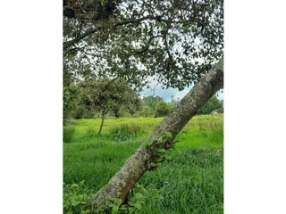 Foto 26 de SE VENDE HERMOSO LOTE ESQUINERO EN LA VEREDA EL ALTO DEL AGUILA