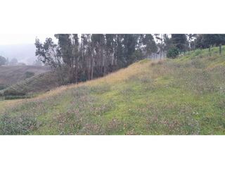 Foto 15 de SE VENDE HERMOSO LOTE ESQUINERO EN LA VEREDA EL ALTO DEL AGUILA