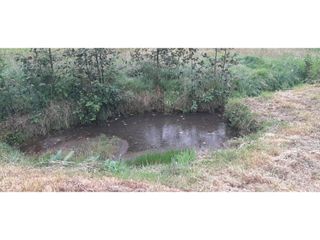 Foto 28 de SE VENDE HERMOSO LOTE ESQUINERO EN LA VEREDA EL ALTO DEL AGUILA