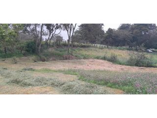 Foto 16 de SE VENDE HERMOSO LOTE ESQUINERO EN LA VEREDA EL ALTO DEL AGUILA
