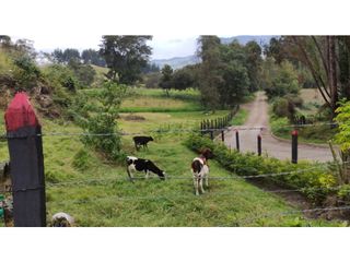 Foto 8 de SE VENDE HERMOSO LOTE ESQUINERO EN LA VEREDA EL ALTO DEL AGUILA