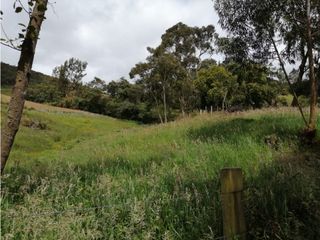 Foto 10 de SE VENDE HERMOSO LOTE ESQUINERO EN LA VEREDA EL ALTO DEL AGUILA