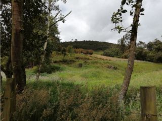 Foto 21 de SE VENDE HERMOSO LOTE ESQUINERO EN LA VEREDA EL ALTO DEL AGUILA