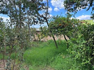Foto 25 de Venta De Lote Con Casa Junto Al Cc Terraplaza Popayan