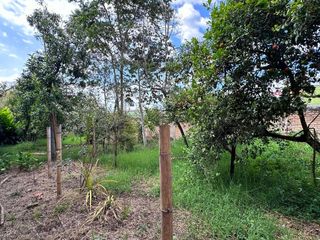 Foto 24 de Venta De Lote Con Casa Junto Al Cc Terraplaza Popayan