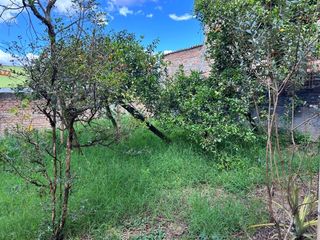 Foto 23 de Venta De Lote Con Casa Junto Al Cc Terraplaza Popayan