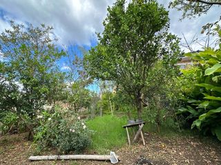 Foto 22 de Venta De Lote Con Casa Junto Al Cc Terraplaza Popayan