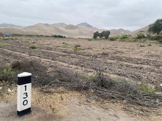 Foto 3 de Terreno a la Venta en Cerro Azul - Los Lobos