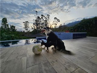 Foto 13 de JC- VENTA DE HERMOSA CASA CAMPESTRE