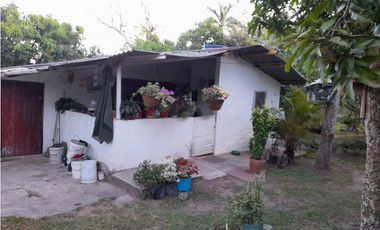 place photo 45