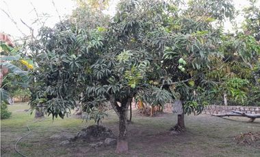 place photo 42