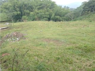 Foto 13 de SE VENDE LOTE COMBIA DE 11.800 METROS CUADRADOS