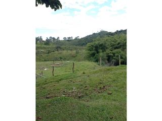 Foto 3 de SE VENDE LOTE COMBIA DE 11.800 METROS CUADRADOS
