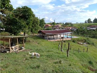 Foto 26 de SE VENDE LOTE COMBIA DE 11.800 METROS CUADRADOS