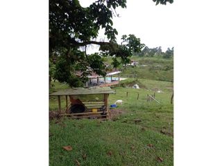 Foto 22 de SE VENDE LOTE COMBIA DE 11.800 METROS CUADRADOS