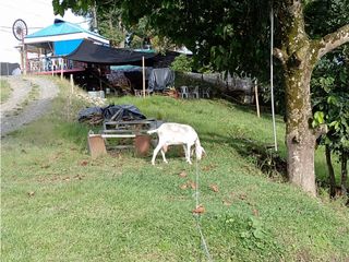 Foto 6 de SE VENDE LOTE COMBIA DE 11.800 METROS CUADRADOS