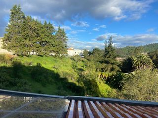 Foto 11 de Departamento en venta, con terraza. Centro Historico