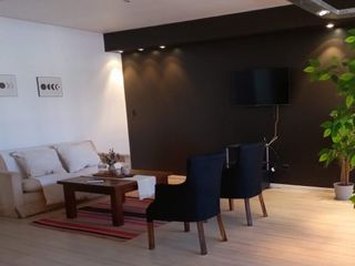 Foto 4 de DEPARTAMENTO AMPLIO CENTRO DE SAN MARTIN MENDOZA