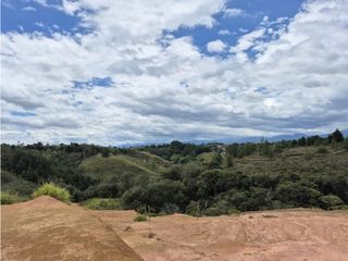 Foto 8 de PARCELA EN VENTA EN VEREDA LA MARTICA, TIMBIO POPAYN