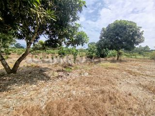 Foto 5 de En venta terreno en la Mana