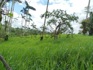 Foto 6 de En Venta Terreno de 37.5 Hectáreas km 14 Vía Los Bancos - Valle Hermoso