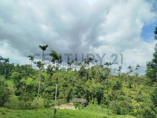 Foto 2 de En Venta Terreno de 37.5 Hectáreas km 14 Vía Los Bancos - Valle Hermoso