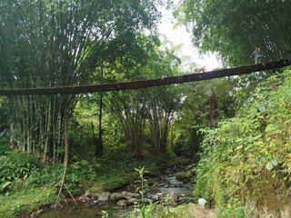 Foto 5 de En Venta Terreno de 37.5 Hectáreas km 14 Vía Los Bancos - Valle Hermoso