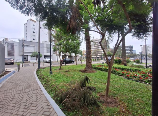 place photo 33