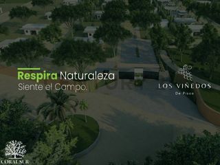 Foto 4 de OPORTUNIDAD DE INVERSION PISCO