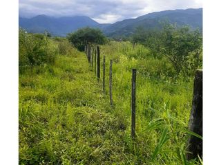 Foto 4 de VENTA HECTAREA EN CAMPO QUIJANO
