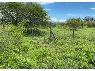 Foto 3 de VENTA HECTAREA EN CAMPO QUIJANO