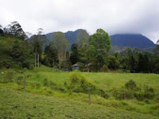 Foto 9 de VENTA de CASAS en PACHO