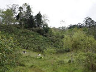Foto 6 de VENTA de CASAS en PACHO
