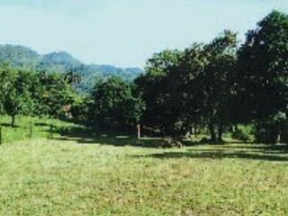 Foto 4 de VENTA de LOTES en VILLETA