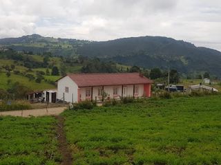 Foto 27 de VENTA de CASAS en DUITAMA