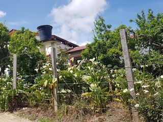 Foto 30 de VENTA de CASAS en DUITAMA