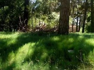 Foto 9 de Terreno en venta - 525Mts2 - Valeria del Mar