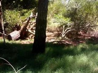 Foto 8 de Terreno en venta - 525Mts2 - Valeria del Mar