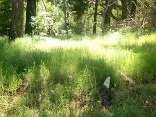 Foto 10 de Terreno en venta - 525Mts2 - Valeria del Mar