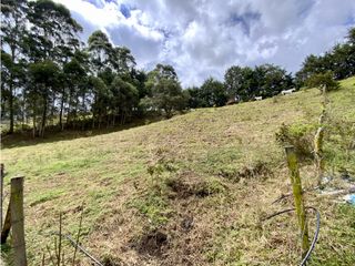 Lote Para Parcelar Sector Pontezuela (RIONEGRO)