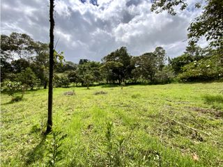 Lote Para Parcelar Sector Pontezuela (RIONEGRO)