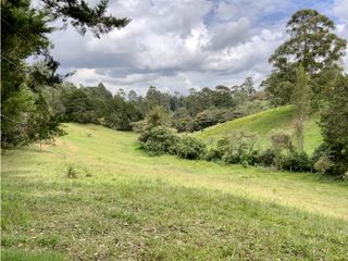 Lote Para Parcelar Sector Pontezuela (RIONEGRO)