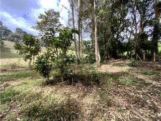 Lote Para Parcelar Sector Pontezuela (RIONEGRO)