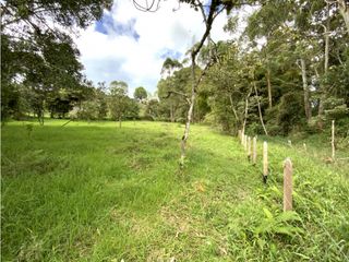 Lote Para Parcelar Sector Pontezuela (RIONEGRO)