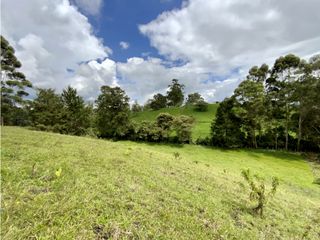 Lote Para Parcelar Sector Pontezuela (RIONEGRO)