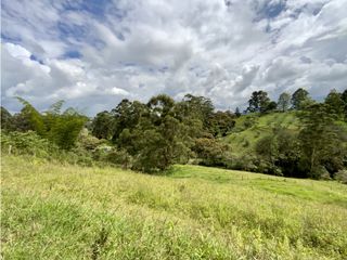 Lote Para Parcelar Sector Pontezuela (RIONEGRO)