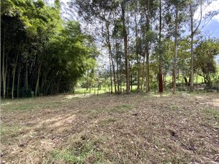 Lote Para Parcelar Sector Pontezuela (RIONEGRO)