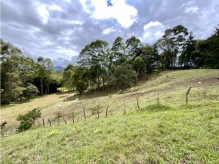 Lote Para Parcelar Sector Pontezuela (RIONEGRO)